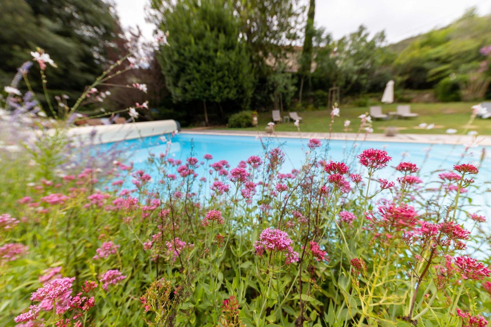 Hotel Le Mas Trilles Ceret Exterior photo
